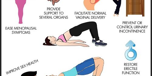 تمرین کگل برای سالمندان