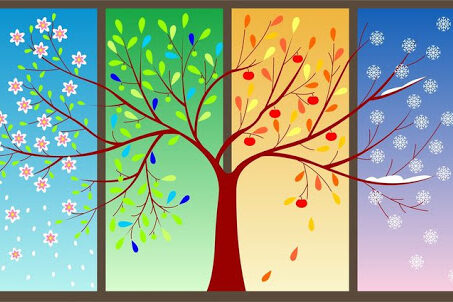 فعالیت بدنی برای فصول سال