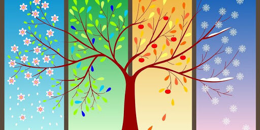 فعالیت بدنی برای فصول سال