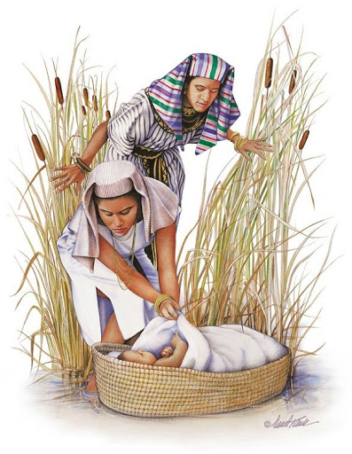 کودکی موسی قصه های قرآنی زهرا غفاریان بنیاد فرهنگ سالمندی