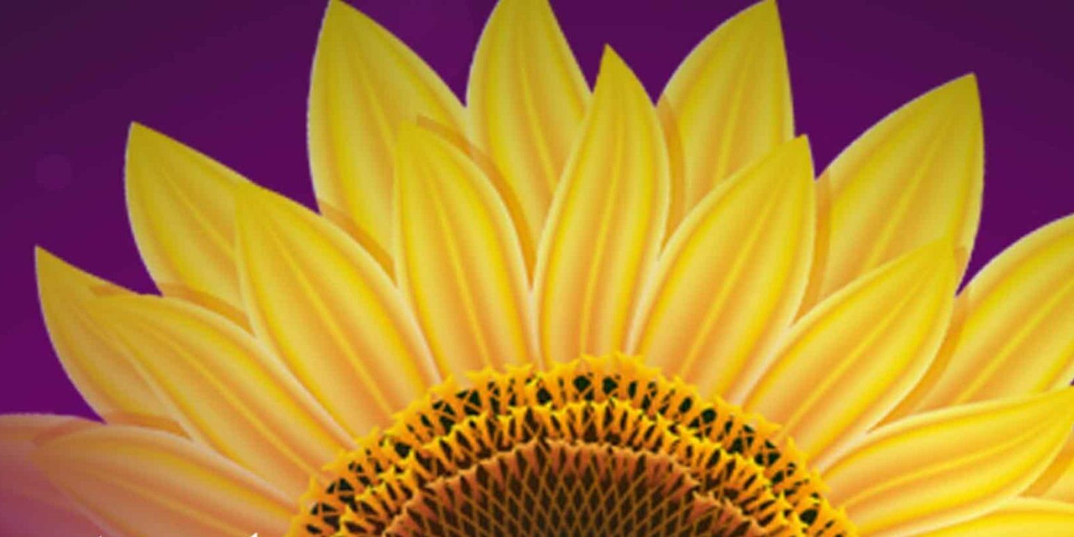 جشنواره ادبی آفتابگردان چهارم