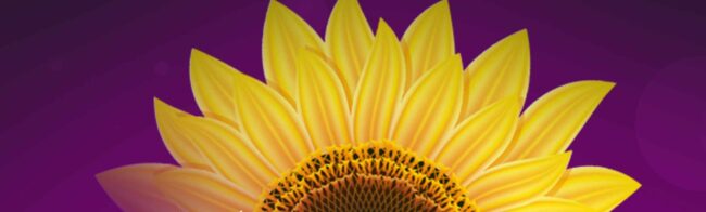 جشنواره ادبی آفتابگردان چهارم