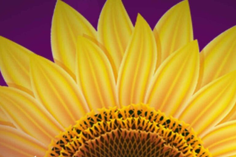 جشنواره ادبی آفتابگردان چهارم