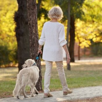 پیاده روی با سگ خانگی برای سالمندان