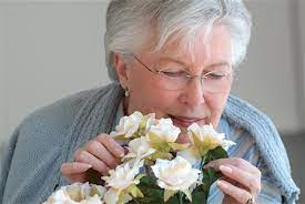 بویایی در سالمندان بنیاد فرهنگ سالمندی