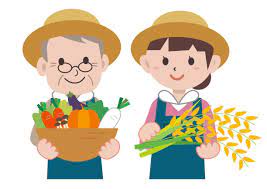 افزایش سلامت سالمندان با باغبانی