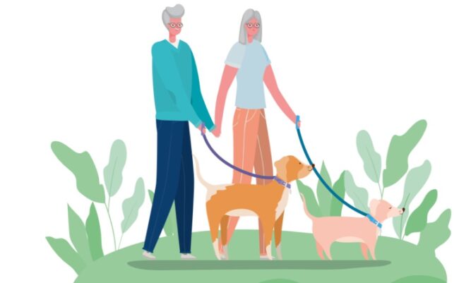 افزایش امنیت سالمند با سگ خانگی