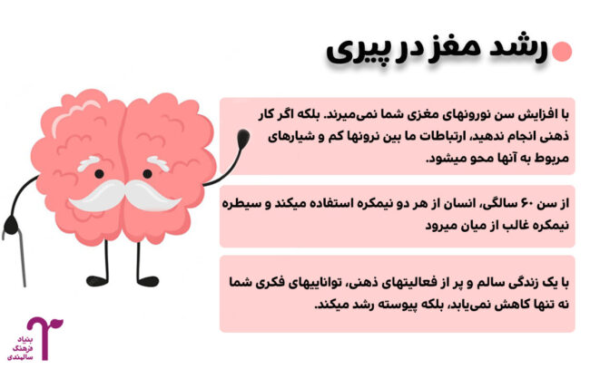 رشد مغز در پیری 