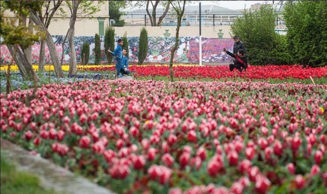 راه پیمایی بوستان زندگی