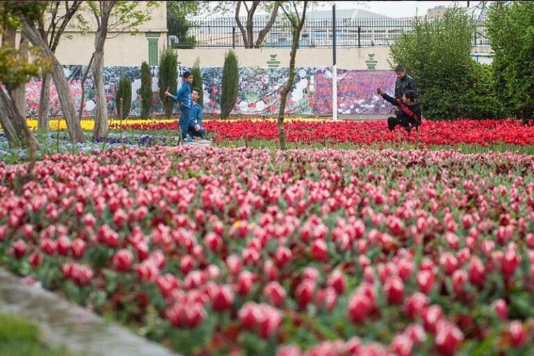 راه پیمایی بوستان زندگی