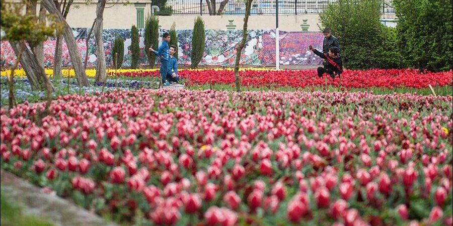 راه پیمایی بوستان زندگی