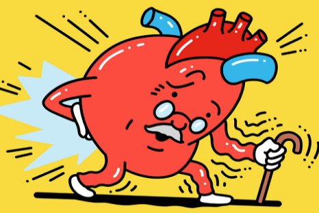 مراقبت از ارگان­های بدن در سالمندی