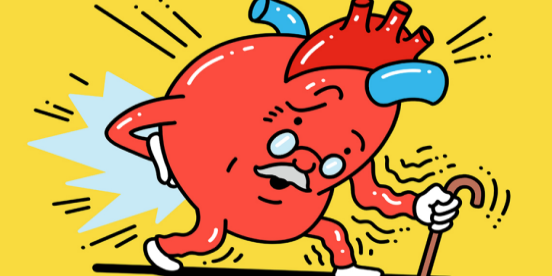 مراقبت از ارگان­های بدن در سالمندی