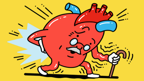 مراقبت از ارگانهای بدن در سالمندی مراقبت از ارگانهای بدن در سالمندی