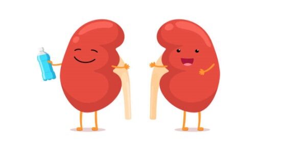 سالمندان و بیماری های کلیوی