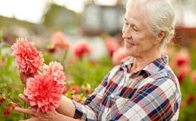 5 راز موفقیت در سالمندی 5 راز موفقیت در سالمندی