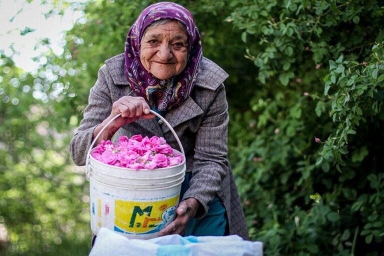 سالمندی و فرصت های داوطلبانه