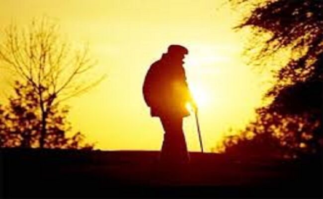 نور حکمت و سالمندی : نگاهی نو به حکمت و رشد در سالهای طلایی زندگی نور حکمت و سالمندی : نگاهی نو به حکمت و رشد در سالهای طلایی زندگی