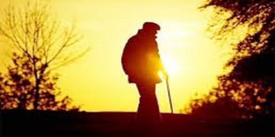 نور حکمت و سالمندی : نگاهی نو به حکمت و رشد در سال‌های طلایی زندگی