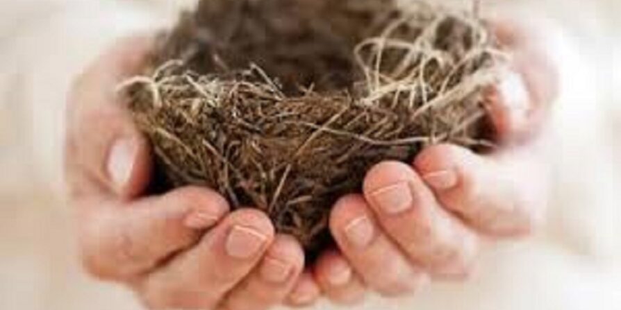  سالمندی و سندرم آشیانه خالی