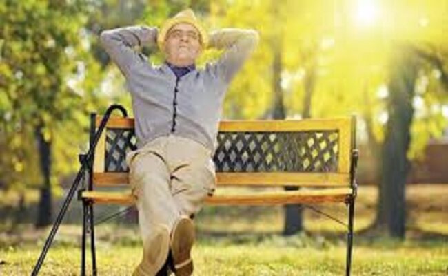 سالمندی و پارامی