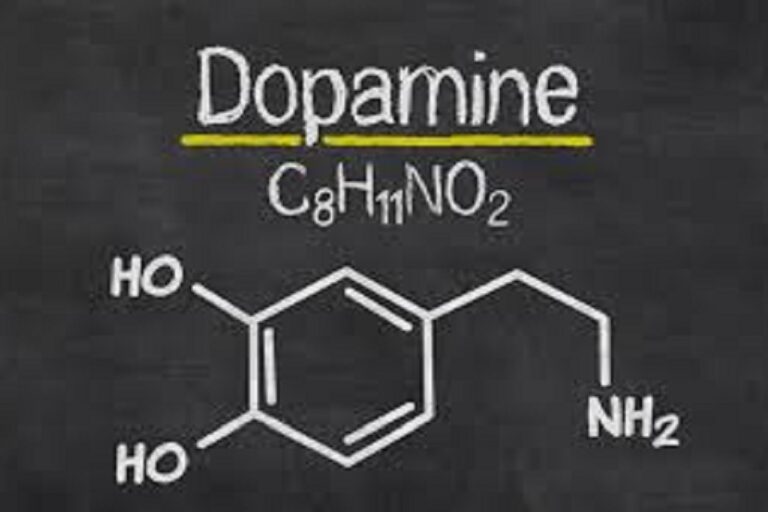 سم‌زدایی دوپامین در سالمندی