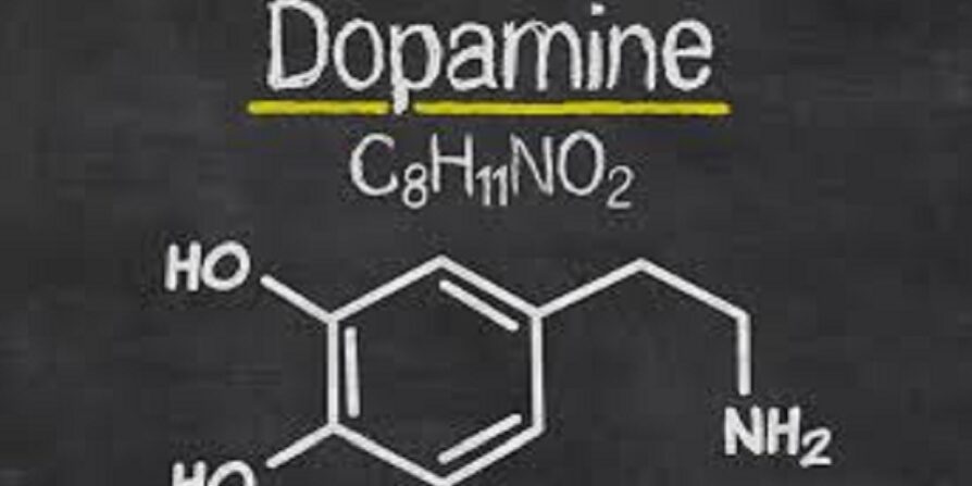 سم‌زدایی دوپامین در سالمندی