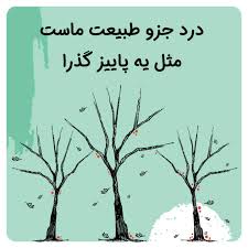 حکمت زندگی در سالمندی