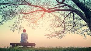 طب هولستیک برای سالمندان