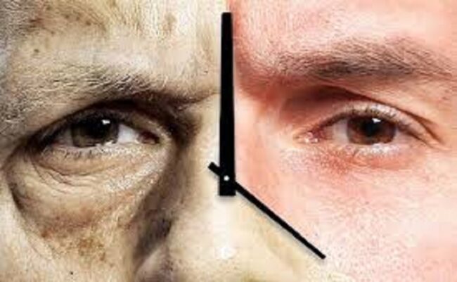 آینده هوش مصنوعی برای سالمندان