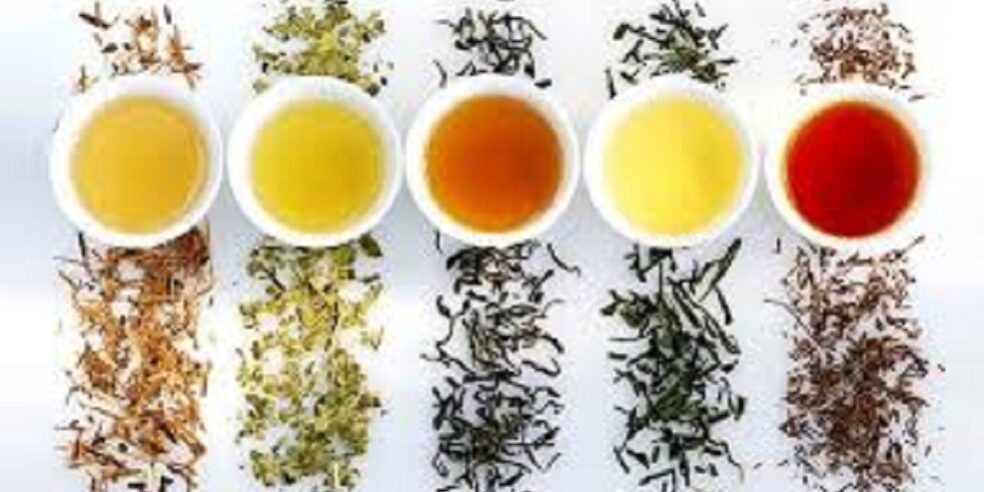 دمنوش های گیاهی مفید برای سالمندان