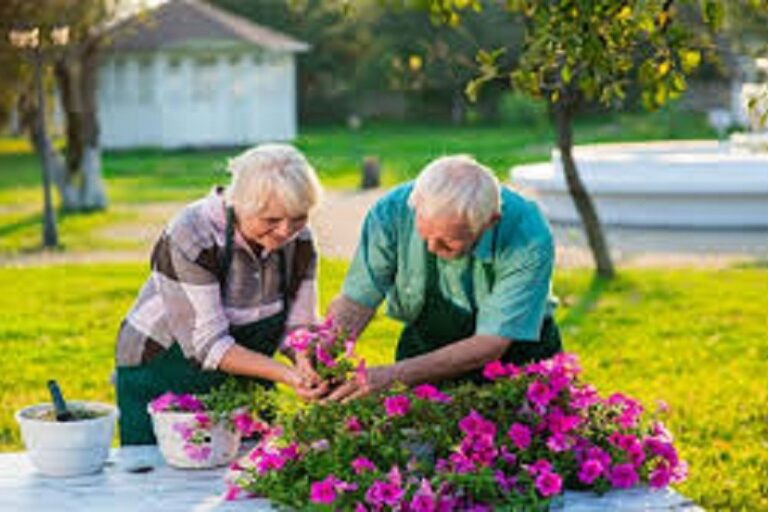 اوج آگاهی در سالمندی؛ سفری به درون آرامش و نور