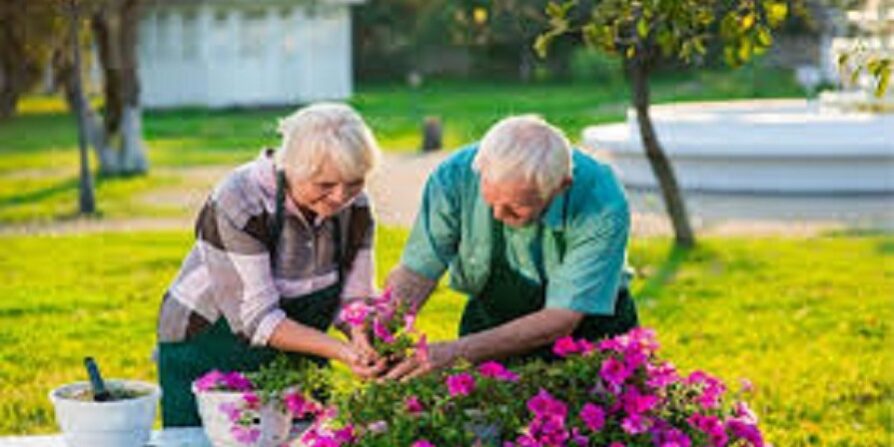 اوج آگاهی در سالمندی؛ سفری به درون آرامش و نور